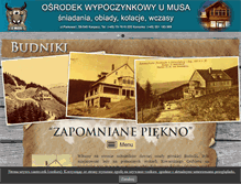 Tablet Screenshot of budniki.pl